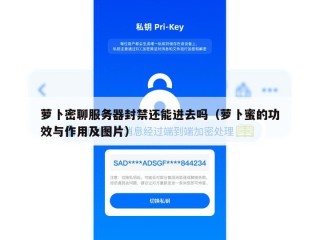 萝卜密聊服务器封禁还能进去吗（萝卜蜜的功效与作用及图片）