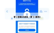 萝卜密聊dh团队（萝卜+聊天）