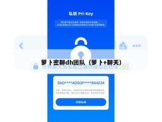 萝卜密聊dh团队（萝卜+聊天）