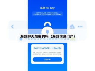 海鸥聊天加密的吗（海鸥信息门户）