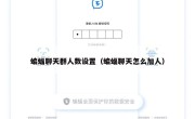 蝙蝠聊天群人数设置（蝙蝠聊天怎么加人）