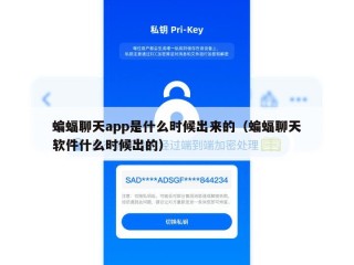 蝙蝠聊天app是什么时候出来的（蝙蝠聊天软件什么时候出的）
