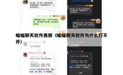 蝙蝠聊天软件黑屏（蝙蝠聊天软件为什么打不开）