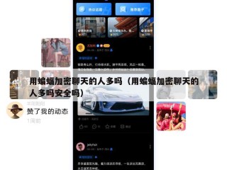 用蝙蝠加密聊天的人多吗（用蝙蝠加密聊天的人多吗安全吗）