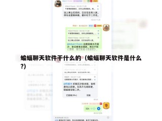 蝙蝠聊天软件干什么的（蝙蝠聊天软件是什么?）