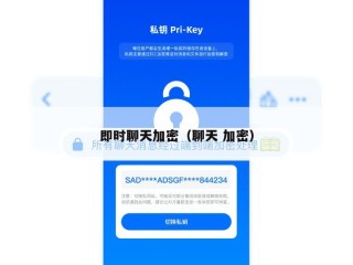 即时聊天加密（聊天 加密）