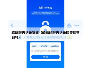 蝙蝠聊天记录复原（蝙蝠的聊天记录网警能查到吗）