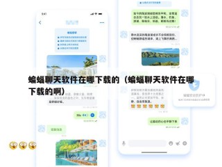 蝙蝠聊天软件在哪下载的（蝙蝠聊天软件在哪下载的啊）