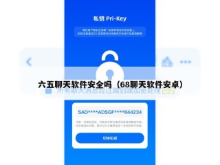 六五聊天软件安全吗（68聊天软件安卓）