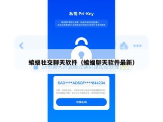 蝙蝠社交聊天软件（蝙蝠聊天软件最新）