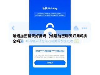 蝙蝠加密聊天好用吗（蝙蝠加密聊天好用吗安全吗）