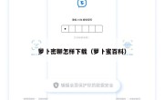 萝卜密聊怎样下载（萝卜蜜百科）