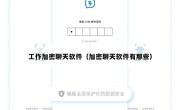 工作加密聊天软件（加密聊天软件有那些）