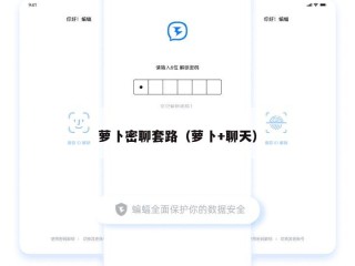 萝卜密聊套路（萝卜+聊天）