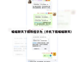 蝙蝠聊天下载教程华为（手机下载蝙蝠聊天）