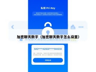 加密聊天数字（加密聊天数字怎么设置）