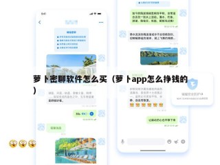 萝卜密聊软件怎么买（萝卜app怎么挣钱的）