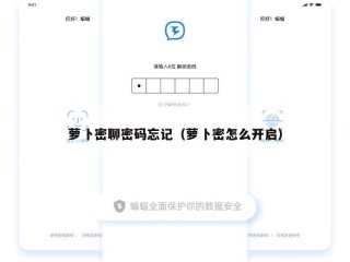 萝卜密聊密码忘记（萝卜密怎么开启）