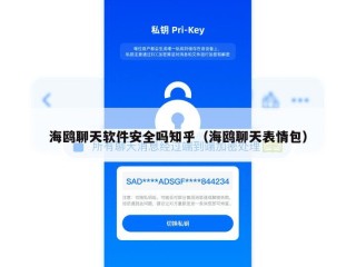 海鸥聊天软件安全吗知乎（海鸥聊天表情包）