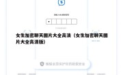 女生加密聊天图片大全高清（女生加密聊天图片大全高清版）