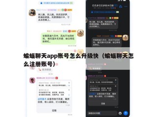 蝙蝠聊天app账号怎么升级快（蝙蝠聊天怎么注册账号）