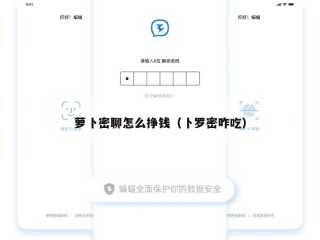萝卜密聊怎么挣钱（卜罗密咋吃）