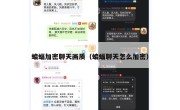 蝙蝠加密聊天画质（蝙蝠聊天怎么加密）
