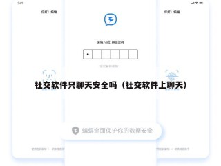 社交软件只聊天安全吗（社交软件上聊天）