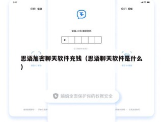 思语加密聊天软件充钱（思语聊天软件是什么）