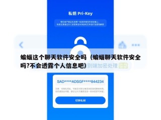 蝙蝠这个聊天软件安全吗（蝙蝠聊天软件安全吗?不会透露个人信息吧）