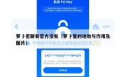 萝卜密聊有官方没有（萝卜蜜的功效与作用及图片）