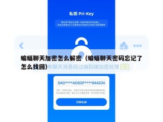 蝙蝠聊天加密怎么解密（蝙蝠聊天密码忘记了怎么找回）