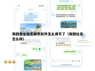 海鸥安全加密聊天软件怎么用不了（海鸥社交怎么样）
