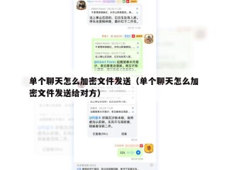 单个聊天怎么加密文件发送（单个聊天怎么加密文件发送给对方）