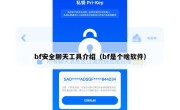 bf安全聊天工具介绍（bf是个啥软件）