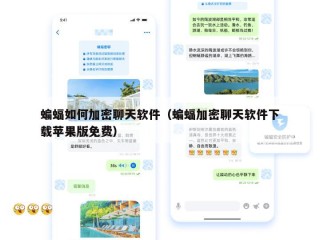 蝙蝠如何加密聊天软件（蝙蝠加密聊天软件下载苹果版免费）