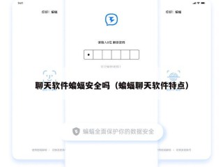 聊天软件蝙蝠安全吗（蝙蝠聊天软件特点）
