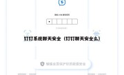 钉钉系统聊天安全（钉钉聊天安全么）