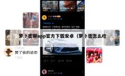 萝卜密聊app官方下载安卓（萝卜密怎么吃）