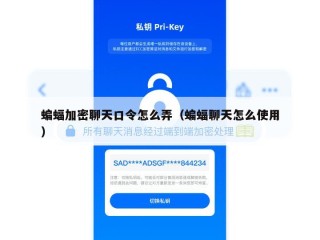 蝙蝠加密聊天口令怎么弄（蝙蝠聊天怎么使用）