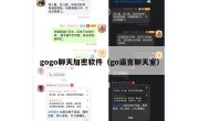 gogo聊天加密软件（go语言聊天室）