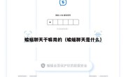 蝙蝠聊天干嘛用的（蝙蝠聊天是什么）
