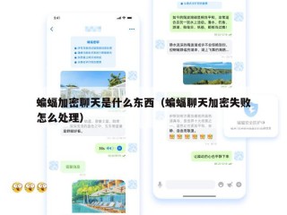 蝙蝠加密聊天是什么东西（蝙蝠聊天加密失败怎么处理）