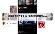 白蓝聊天软件安全吗（蓝白图标的社交app）