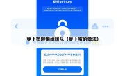 萝卜密聊锦绣团队（萝卜蜜的做法）