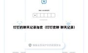 钉钉的聊天记录加密（钉钉密聊 聊天记录）