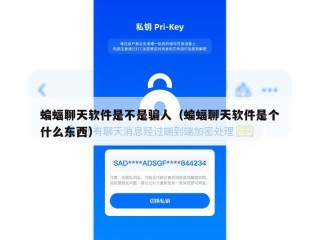 蝙蝠聊天软件是不是骗人（蝙蝠聊天软件是个什么东西）