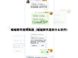蝙蝠聊天视频美颜（蝙蝠聊天是款什么软件）
