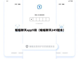 蝙蝠聊天app5级（蝙蝠聊天245版本）