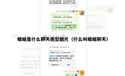 蝙蝠是什么聊天类型图片（什么叫蝙蝠聊天）